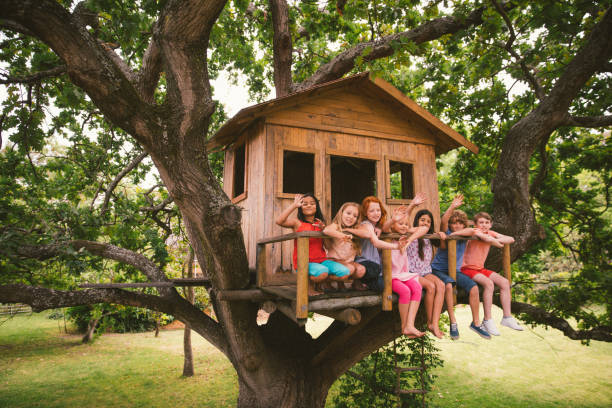 How To Build A Treehouse Review 2025 :Info, Updates & Pricing