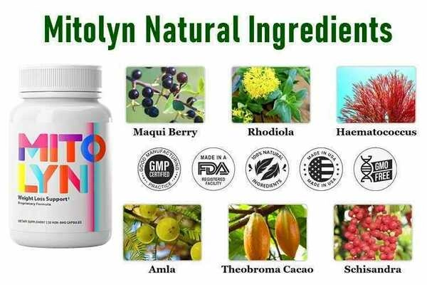 Mitolyn Review 2025: The Cellular Breakthrough That’s Transforming Fat Loss, Energy & Mental Clarity
